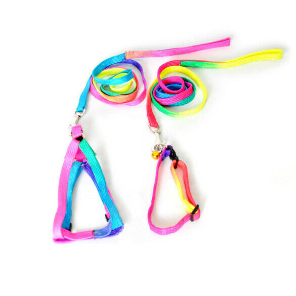 Strengthen Colorful Pets Puppy Lead Harness Leash Traction Rope Nylon