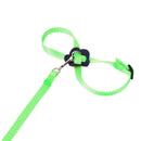 Parrot Leash Adjustable Harness Bird Anti Fly Outdoor Training Rope (Green)