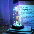 LED Foil Rose Glass Dome Fairy String Night Light for Valentine (Proposal) A