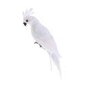 2x True to Nature Parrot Desktop Ornament Artificial Feathered Birds 35cm