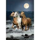 5D DIY Full Drill Diamond Painting Cross Stitch Embroidery Kit (A944 Horse)