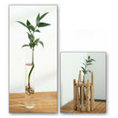 1 Set Glass Vase Tube Shape Clear Flower Bottle With Wooden Shelf Wood Stan X3X9