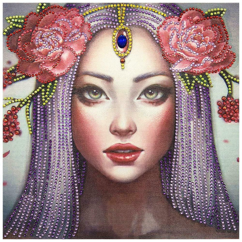 5D DIY Special Shaped Diamond Painting Girl Cross Stitch Mosaic Craft Kits