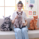 1pc 50cm Simulation Plush Cat Pillows Soft Stuffed Animals Cushion Sofa DecoB3R1