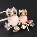 Cute Crystal Owl Animal Corsage Banquet Decoration Women Brooch Pin Jewelry G Gw