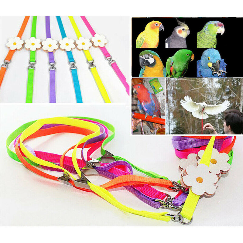 Harness Leash with Adjustable and Bite Resistant Design + Cockatiel Parrot Bird