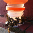 3 Pcs Bee-Drinking-Fountain-Bee-Queen-Bee-Water-Feeding-Equipment Hot.