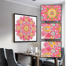 Special Shaped 5D DIY Diamond Painting Color Mandala Embroidery (HB016)