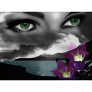 Art Eyes with Stories 5D DIY Full Round Drill Diamond Painting Kit (LD486)