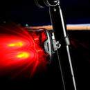 Waterproof 2 LED Bright Cycling Bicycle Bike Rear Tail Flashing Back Light Lamp