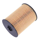 For BMW MINI R50 R52 R53 One Cooper S Fuel Filter 16146757196 A898 T2A4