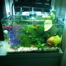 Purple Artificial Plastic Grass Fish Tank Water Plant Aquarium Decor A