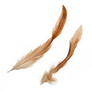 Natural cock feather cock Decoration - Ideal for costumes, hats, interior d R9B7