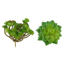 2pcs Artificial Plastic Simulation Succulent Plants Micro Landscape Decor