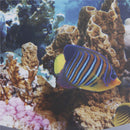 fish Ocean View windows wall door stickers for washing machine decor wall  OZ
