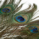 10PCS QUALITY GIFTS DIY PEACOCK EYE TAIL FEATHER FOR MASQUERADE DECORATION