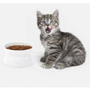 Plastic Cat Pet Dish Bowl Ergonomic Diner Food / Water White 2 Sides Bowls