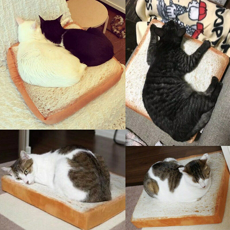 Creative Toast Bread Shape Pet Mat Cushion Sponge Soft Comfortable Pet Dog  A6M5