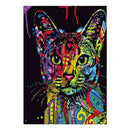 DIY Colorful Cat 5D Diamond Painting Decor Embroidery Cross Stitch Craft