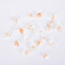 20X Natural White Shells Decorations Mini Nautical Crafts Aquarium Ornaments FT