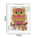 5D DIY Special Shaped Diamond Painting Colored Bird Cross Stitch Embroidery