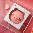 Pig Beauty Portable Led Mirror Pocket Fan Usb Charging Mini Handheld Fan Wi