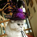 Halloween Pet Supplies Pet Dog and Cat Ornaments Halloween Pet Spider Hat W