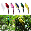 2Pcs Lifelike Macaw Parrot Artificial Feathered Bird Statue for Home Outdoor