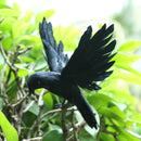 2 x Lifelike Flying Crow Decoy Hunting Birds Decoy Birds Scarer Scarecrow