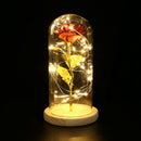 20LED Night Lights Rose Glass Dome Copper Wire String Lights (Dark Red)
