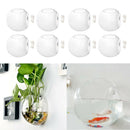 8 Pack Wall Hanging Glass Terrariums Planter Flower Vase for Hydroponics Plants,