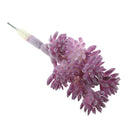 European Style Artificial Succulent Edelweiss Flocking Plant Decor