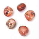 5Pcs Natural Banded Agate Madagascar,Xlarge Tumbled Beautiful Patterns   Z