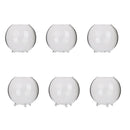 6x Tabletop Glass Flower Planter Vase Terrarium Container Landscape Bottle