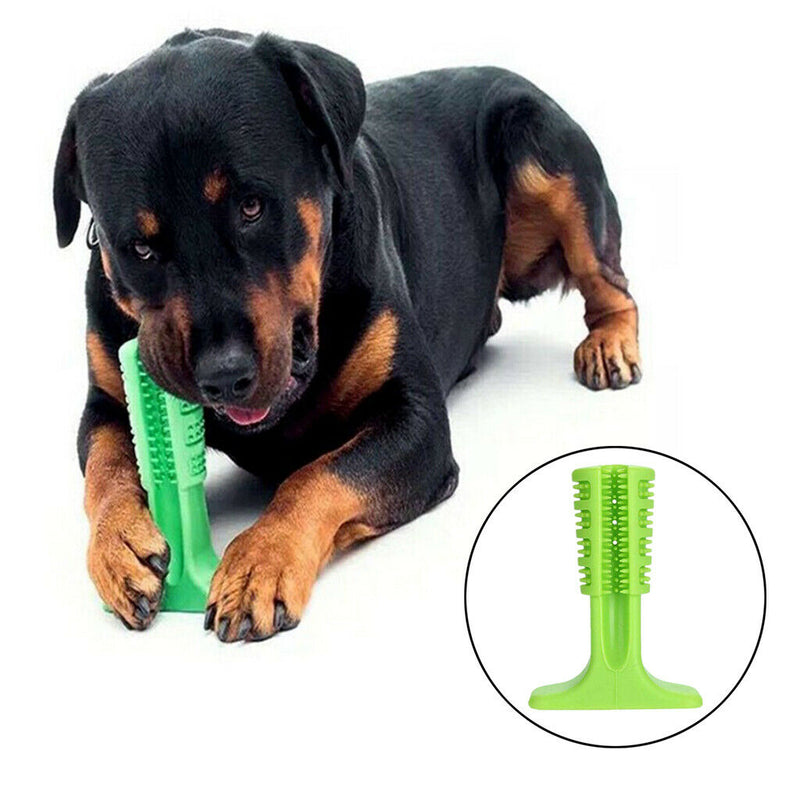 2x Durable Puppy Chew Toys Toothbrush Oral Dental Care Bite Resistant Safe