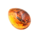 Fashion Insect Stone Scorpions Inclusion Amber Baltic Pendant Necklace Gift 3C