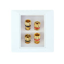 Audio Panel Terminals 2 Speaker 4 Binding Post Banana Jack Connector Wall Socket
