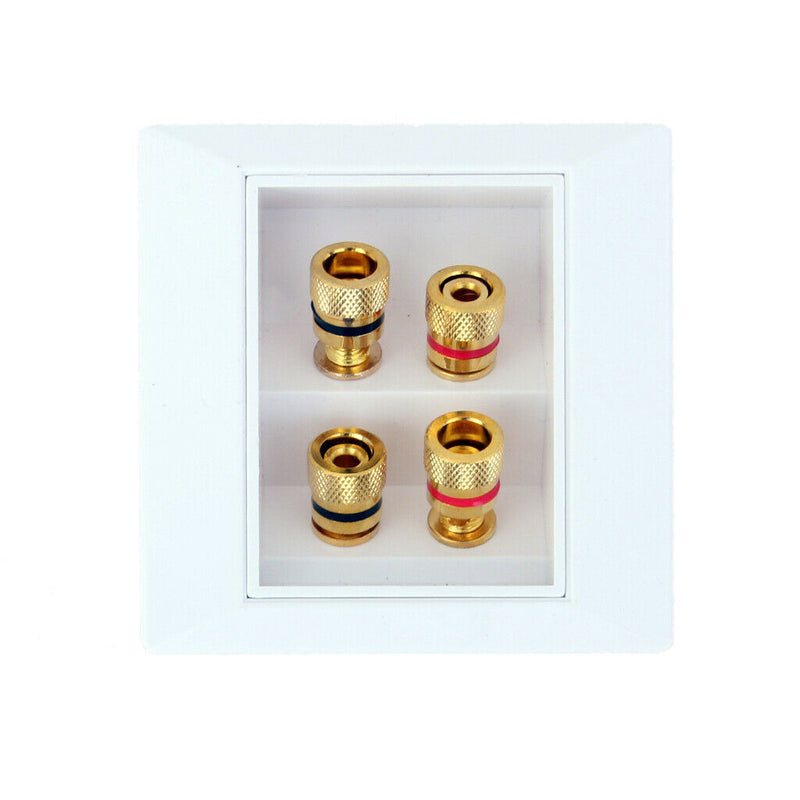 Audio Panel Terminals 2 Speaker 4 Binding Post Banana Jack Connector Wall Socket