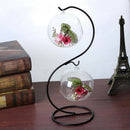 2 Cover Vase Landscape Display Terrarium Container S-Shaped Stand Desk Decor