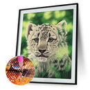 5D DIY Full Round Drill Diamond Painting Tiger Animal Cross Stitch (B979)