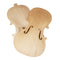 4 Pieces Violin Front Back Plate Solidwood Unfinished Violin DIY Parts 4-4