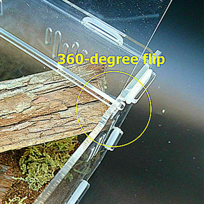 Acrylic-Reptile-Terrarium-Habitat-Ideal-Case-for-Larvae-spiders-ants-scorpi Y9C9
