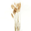 50Pcs Natural Raw Color Dried Flowers Real Flower Bouquet for Home Wedding