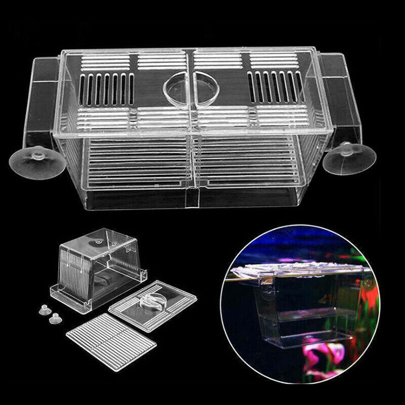 Aquarium Fish Tank Guppy Double Breeding Breeder Rearing Trap Box HatcheryJCA Gw
