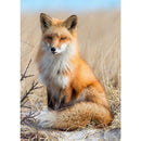 5D DIY Full Drill Diamond Painting Cross Stitch Embroidery (Animal-W169)