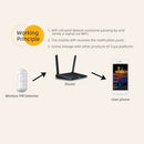 WiFi PIR Motion Detector Pet Immune Dual Passive Infrared Motion Sensor