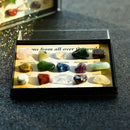 15 Pieces Geology Gem Kit for Kids with Display Case Educational Collection
