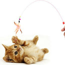 Cats Bouncy Rod with Bell and Feathers 36in - Playing Toys for Cats G3X9
