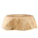 Household Fruit Bowl Wooden Candy Dish Fruit Plate Wood Carving Root Fruit  T8Y6