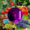 Usb Led Plant Light Full Spectrum 3W 5W Dc 5V Flexible Grow Lights Phyto La N2C8